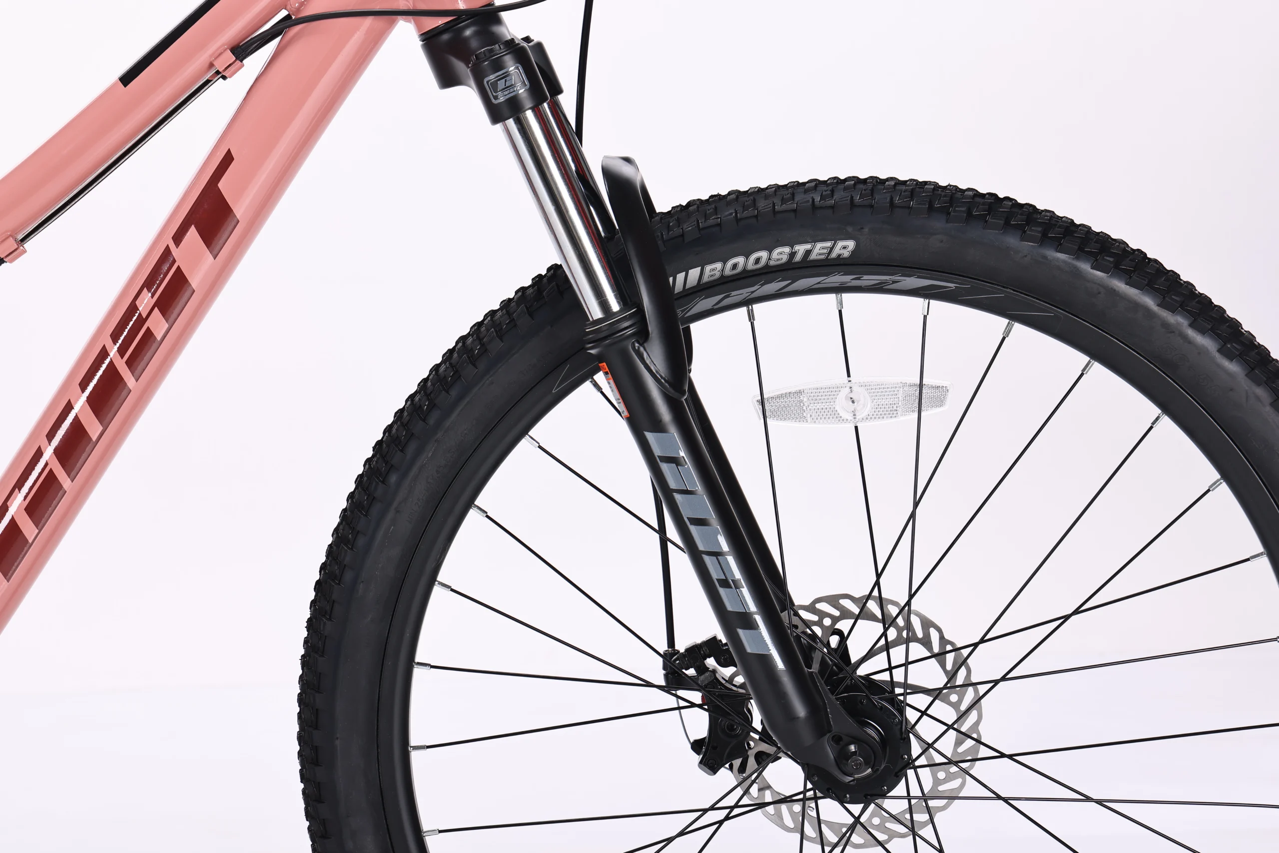 GUST MĒNESS PUISIS — attēls 4